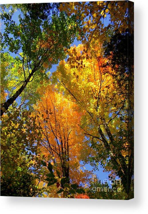 Fall Acrylic Print featuring the photograph Bouquet by Elfriede Fulda