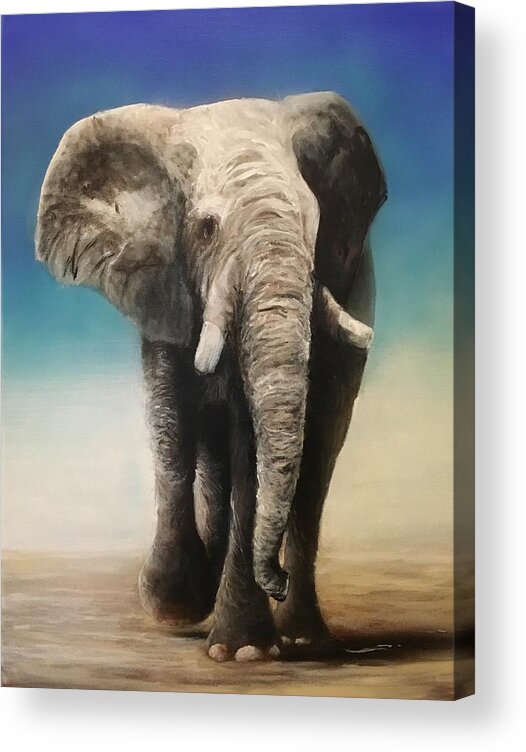 Bull Elephant On Dry Landscape Acrylic Print featuring the painting Bull 4 by Joe Bracco