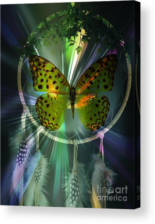 Butterfly Dreamcatcher Acrylic Print featuring the digital art Butterfly Dreamcatcher by Maria Urso