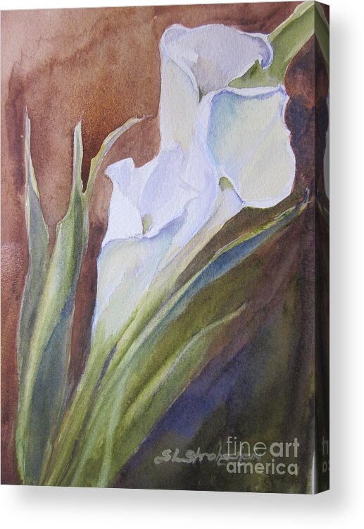 Calla Lillies Acrylic Print featuring the painting Calla Lillies by Sandra Strohschein