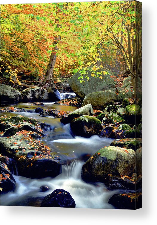 Adirondack Landscape Acrylic Print featuring the photograph Cascade Brook by Frank Houck