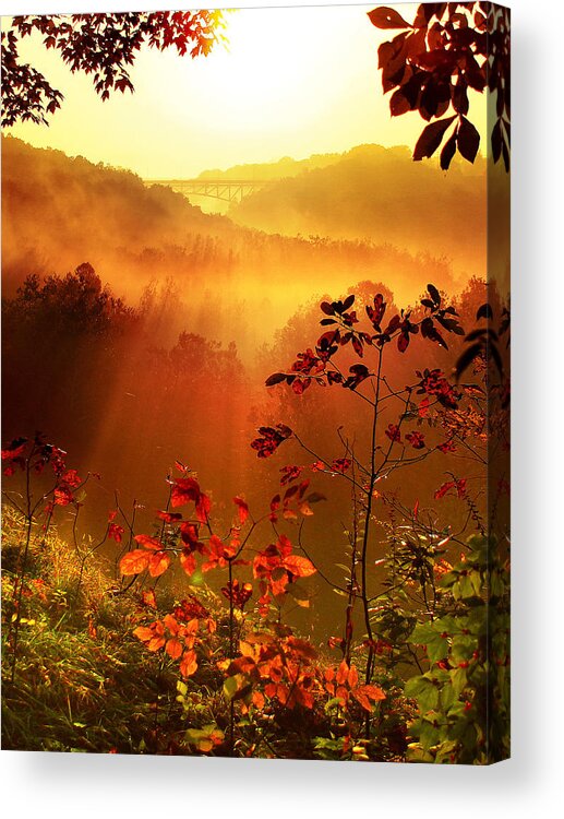 Sunrise Acrylic Print featuring the photograph Cathedral of Light - Special Crop by Rob Blair