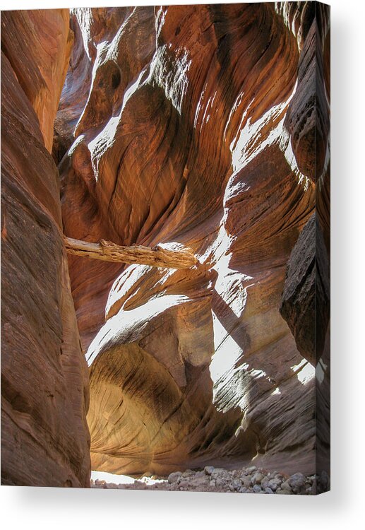 Utah Acrylic Print featuring the photograph Caught in a slot by Gaelyn Olmsted