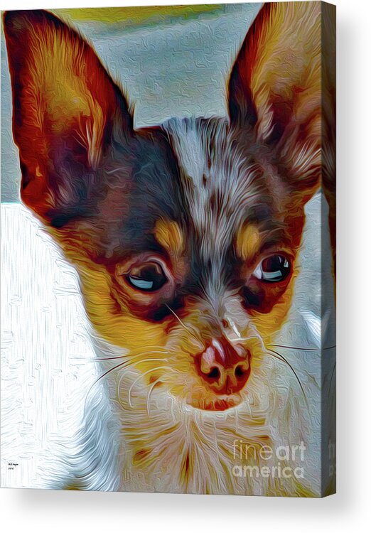 Animal Acrylic Print featuring the painting Chi Beauty by DB Hayes