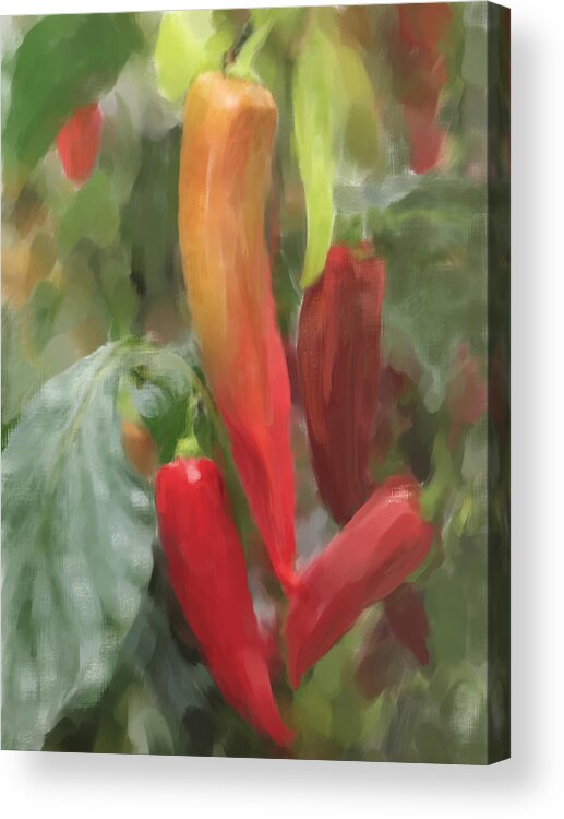 Chillis Acrylic Print featuring the painting Chili Peppers by Portraits By NC
