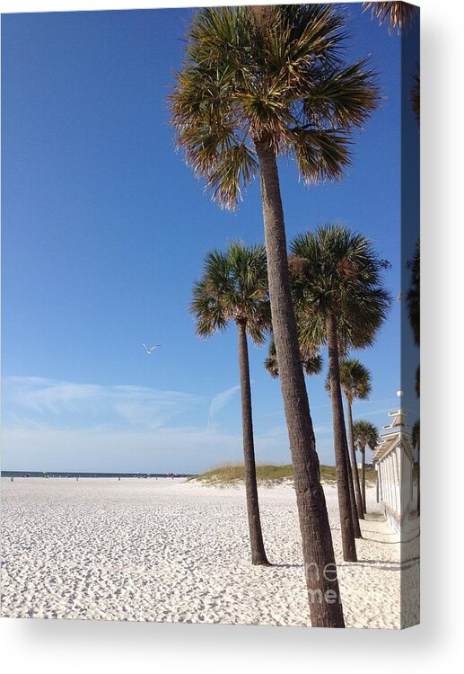 Beach Acrylic Print featuring the photograph Clearwater Palms by Barbara Von Pagel