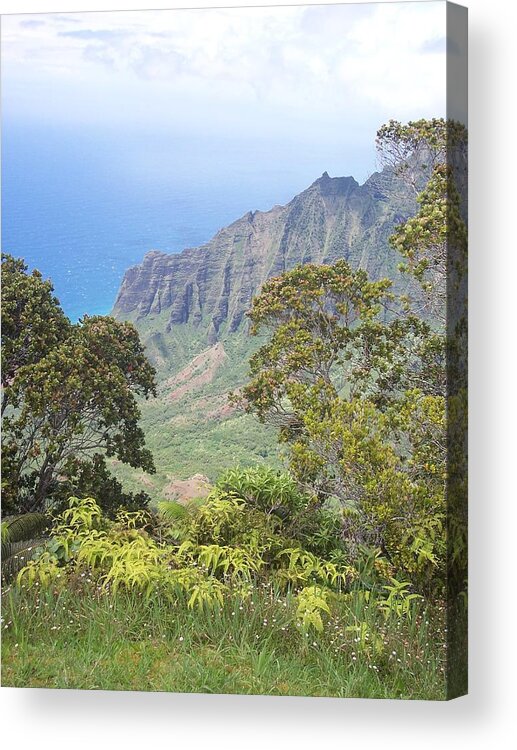 Hawaii Acrylic Print featuring the photograph Cliffs by Michelle Miron-Rebbe