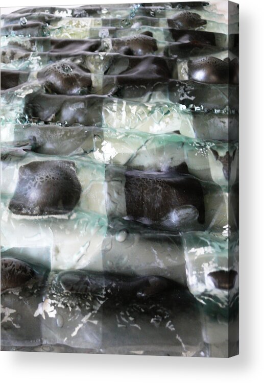 Glass Acrylic Print featuring the sculpture Close up of the Forth River by Sarah King