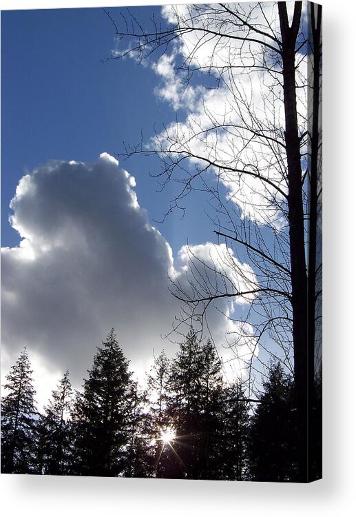Clouds In A Blue Sky Acrylic Print featuring the photograph Cloud Leaves by Julie Rauscher