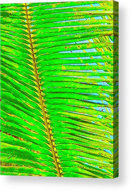 #flowersofaloha #coconutpalmleafaloha Acrylic Print featuring the photograph Coconut Palm Leaf Aloha by Joalene Young
