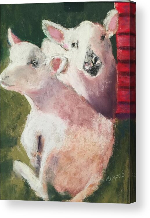 Original Pastel Painting Acrylic Print featuring the painting Cody and Joey by Joyce Spencer
