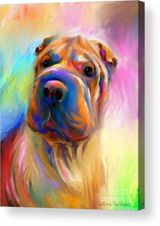 Chinese Shar Pei Dog Acrylic Print featuring the painting Colorful Shar Pei Dog portrait painting by Svetlana Novikova