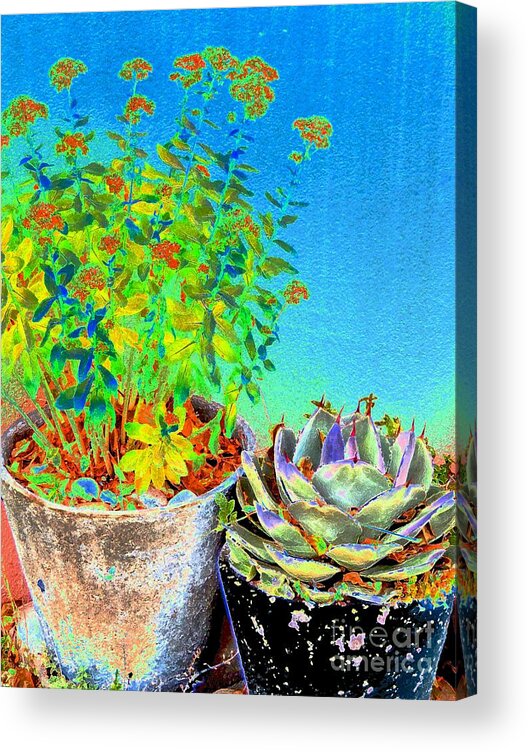 Flower Acrylic Print featuring the digital art Companionship	 by Ann Johndro-Collins