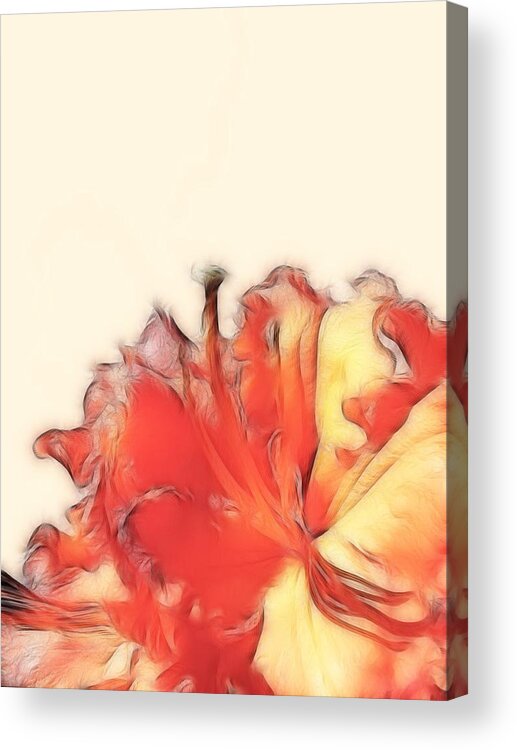 Rhodendron Acrylic Print featuring the photograph Coral Rhododendron by Lynn Bolt