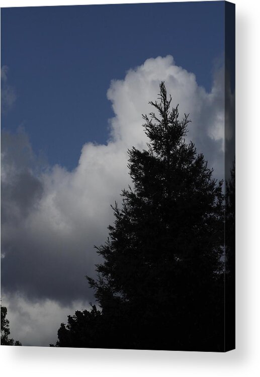  Acrylic Print featuring the photograph Cumulus 20 and Tree by Richard Thomas