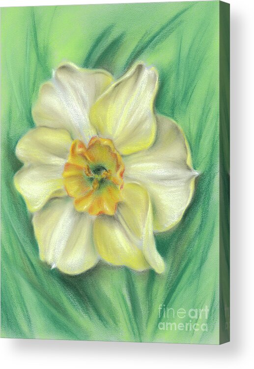 Daffodil Acrylic Print featuring the painting Daffodil Spring Floral by MM Anderson