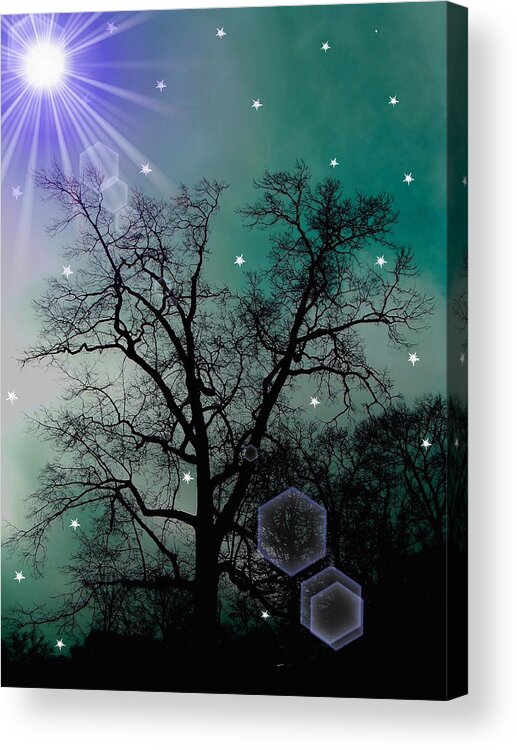 Tree Acrylic Print featuring the photograph Dancing Tree - Nightscape 2913 by Jacob Folger