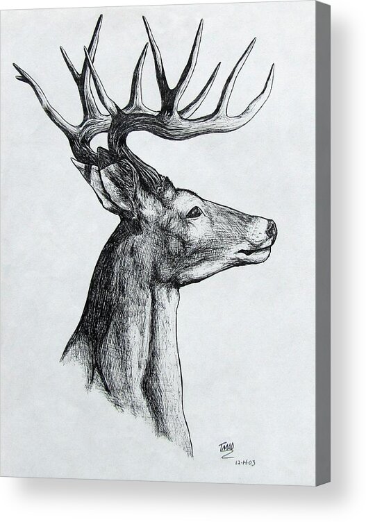 Michael Acrylic Print featuring the drawing Deer by Michael TMAD Finney