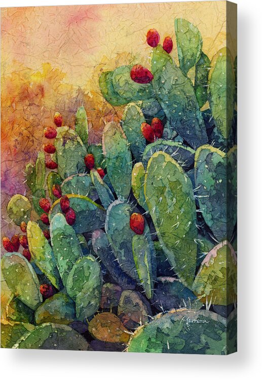 Cactus Acrylic Print featuring the painting Desert Gems 2 by Hailey E Herrera