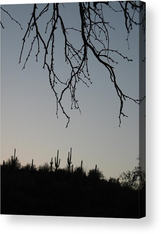 Desert Acrylic Print featuring the photograph Desert Night So Familiar by Judith Lauter
