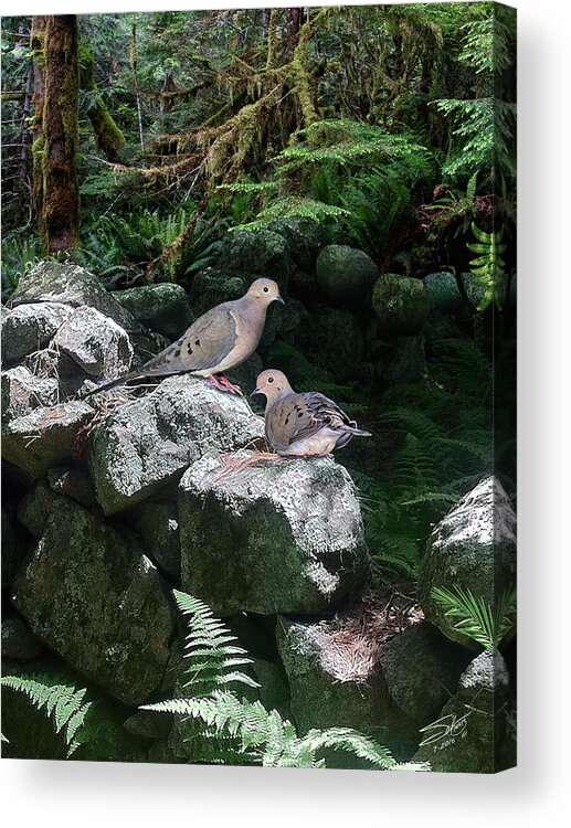 Birds Acrylic Print featuring the painting Doves on Stone Fence by M Spadecaller