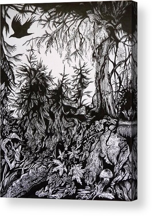 Pen And Ink Acrylic Print featuring the drawing Dreaming Alaska.Part one by Anna Duyunova