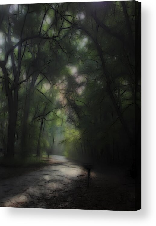 Landscape Acrylic Print featuring the digital art Dreaming Forest 1 by William Horden