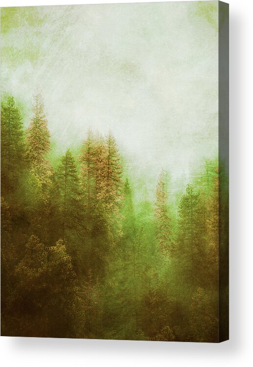 Nature Acrylic Print featuring the digital art Dreamy Summer Forest by Klara Acel