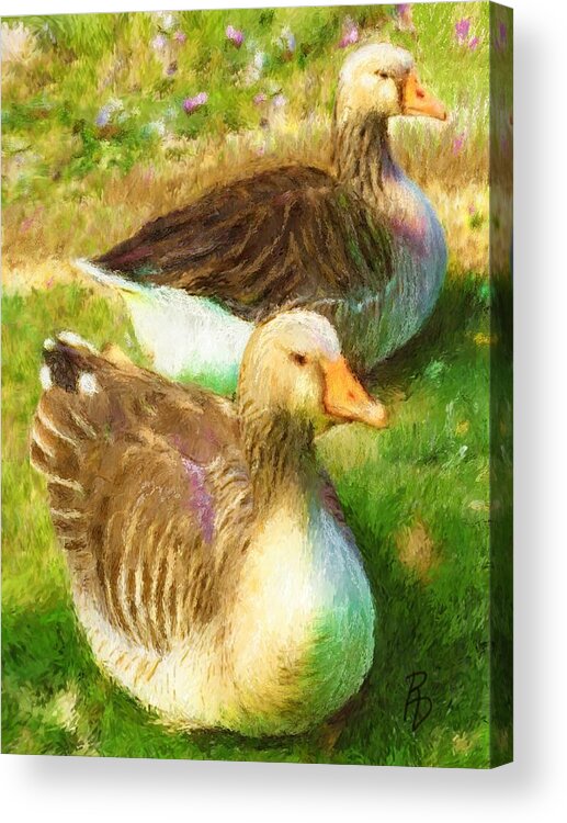 Geese Acrylic Print featuring the digital art Gandering Geese by Ric Darrell