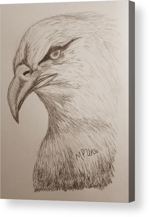Eagle Drawing 1 Acrylic Print featuring the drawing Eagle Drawing 1 by Maria Urso