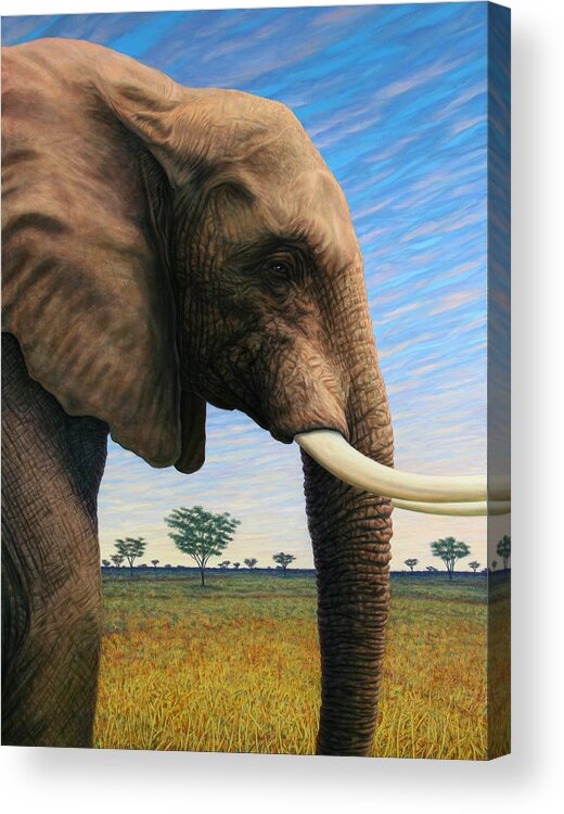 Elephant Acrylic Print featuring the painting Elephant on Safari by James W Johnson