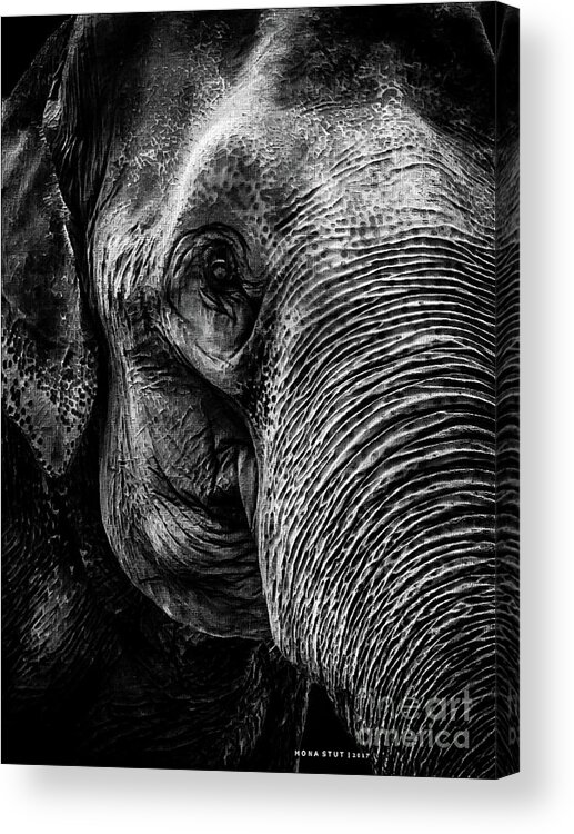 Mona Stut Acrylic Print featuring the photograph Elephant Portrait In Black And White by Mona Stut