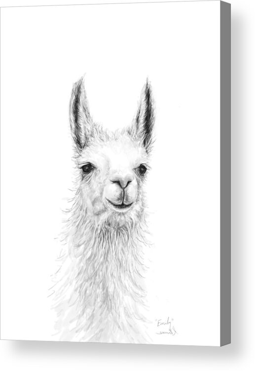 Llama Art Acrylic Print featuring the drawing Emily by Kristin Llamas