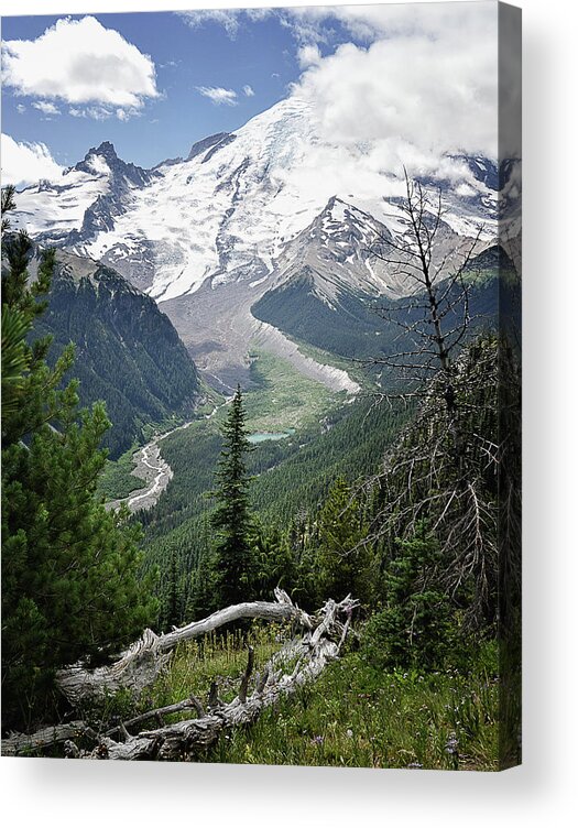 Mount Rainier Acrylic Print featuring the photograph Emmons Glacier, Mount Rainier by Lynn Wohlers