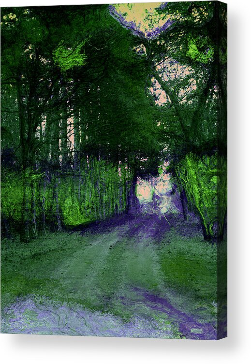 Wooded Path Acrylic Print featuring the photograph Enchanted Way by Julie Lueders 