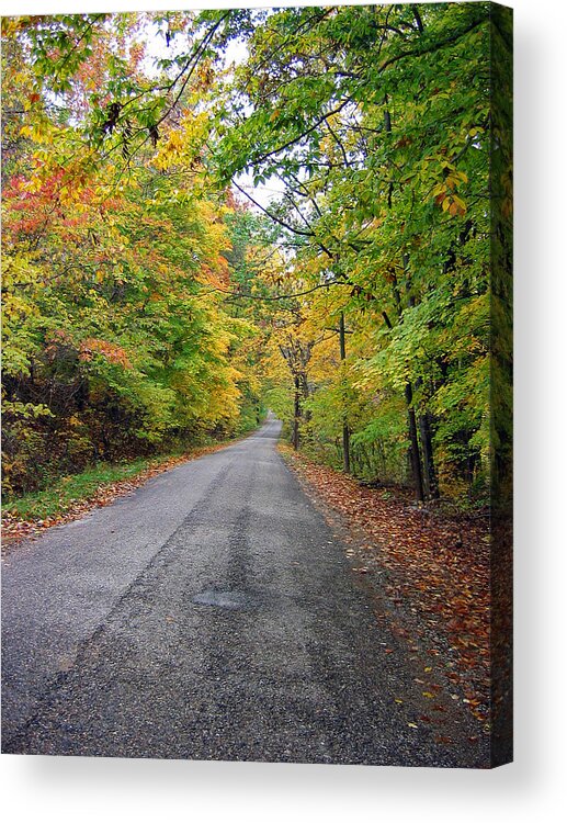 Parke County Acrylic Print featuring the photograph Fall Beauty by Joanne Coyle
