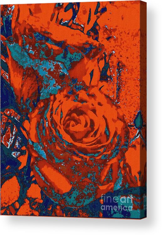 Rose Acrylic Print featuring the photograph Fancy oriental by Wonju Hulse