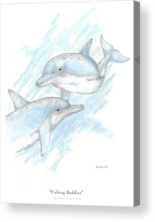 Dolphins Acrylic Print featuring the drawing Fishing Buddies by David Weaver