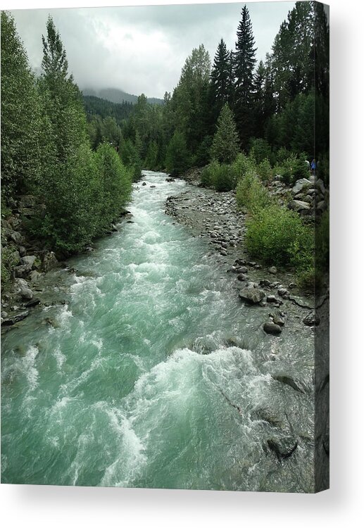 Fitzsimmons Creek Acrylic Print featuring the photograph Fitzsimmons Creek by David T Wilkinson