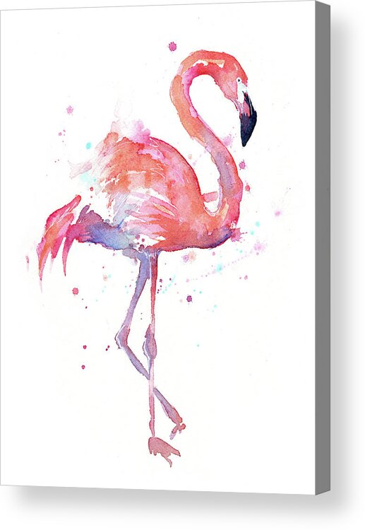 Flamingo Acrylic Print featuring the painting Flamingo Watercolor Facing Right by Olga Shvartsur