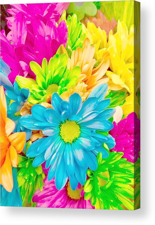 Floral Acrylic Print featuring the photograph Floral Color Blast by Lisa Pearlman