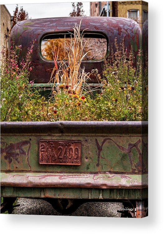 Abstracts Acrylic Print featuring the photograph Flower Bed - Nature and Machine by Steven Milner