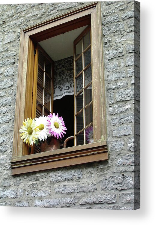 Canada Acrylic Print featuring the photograph Flowers on the Sill by John Schneider