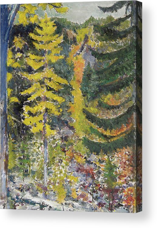 Forest Acrylic Print featuring the painting Forest by Craig Newland