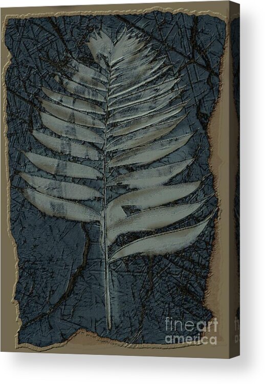 Digital Art Acrylic Print featuring the digital art Fossil Palm by Delynn Addams