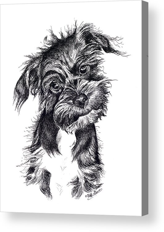Dog Acrylic Print featuring the painting Frasier by Stephanie Grimes