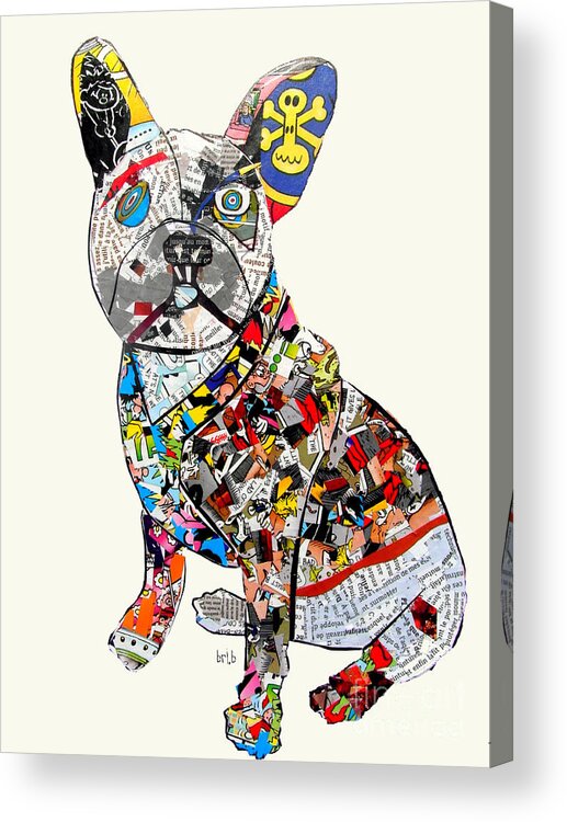 French Bulldog Acrylic Print featuring the painting French Bulldog by Bri Buckley