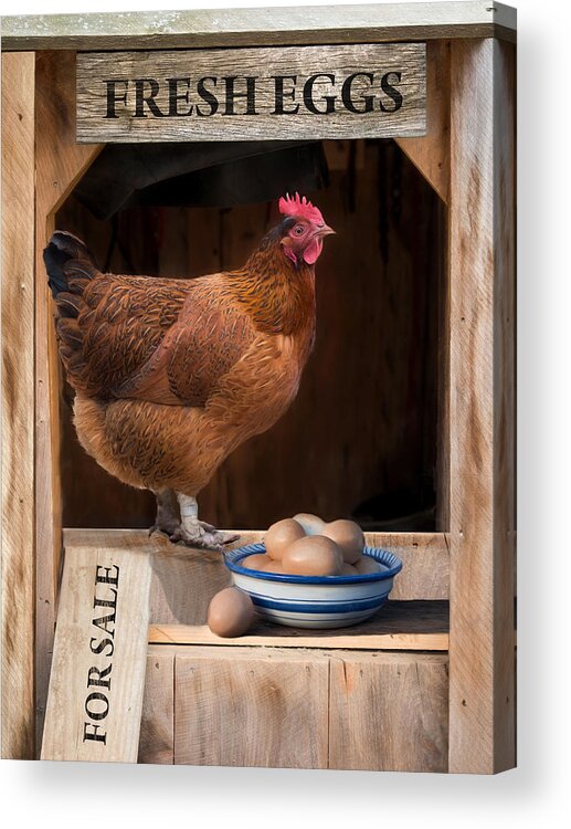 Farm Acrylic Print featuring the photograph Fresh Eggs by Robin-Lee Vieira