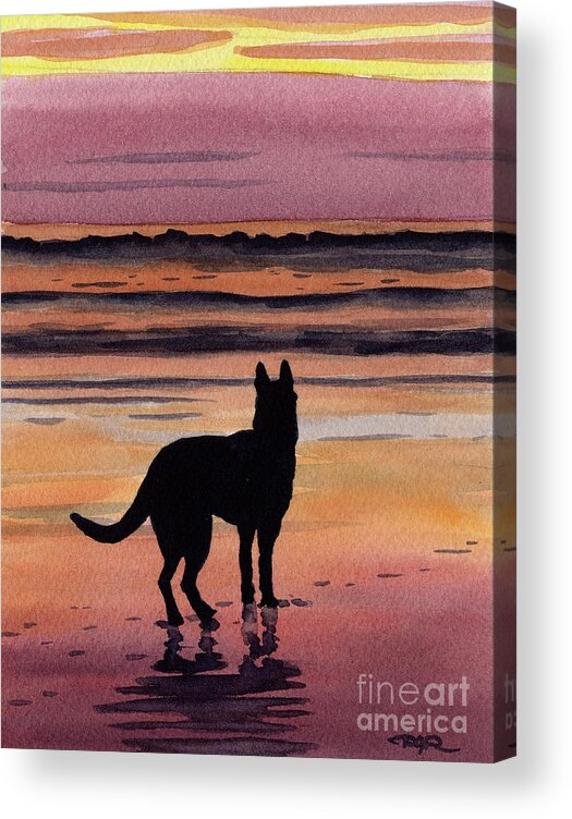 German Acrylic Print featuring the painting German Shepherd at Sunset by David Rogers