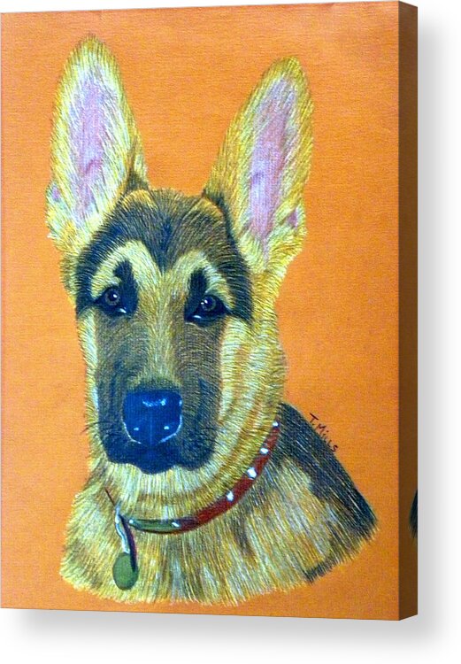 Dog Acrylic Print featuring the drawing German Shepherd Dog by Terri Mills